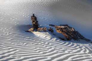 Mesquite Dunes-9849